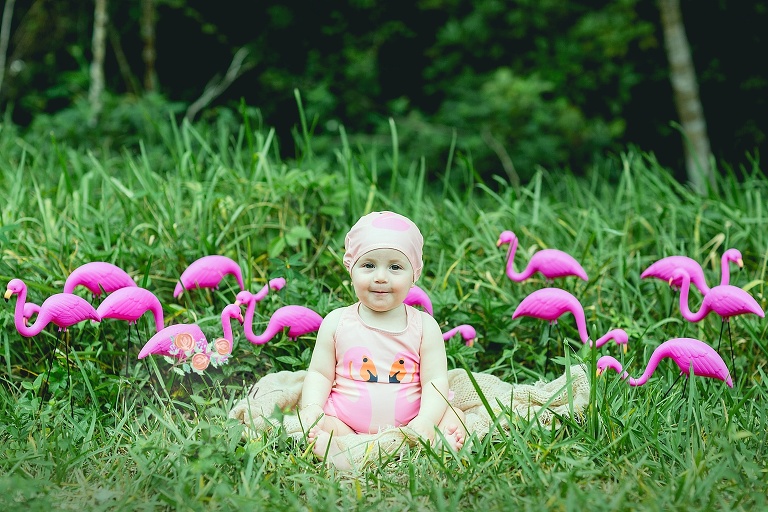 Boca Raton baby photo shoot with flamingos