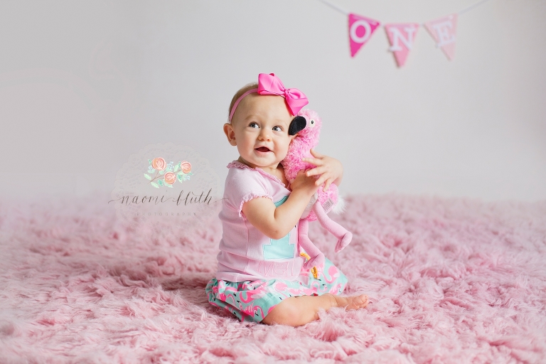 flamingo one year portraits baby South Florida