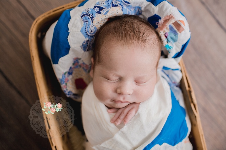 boca raton newborn portraits