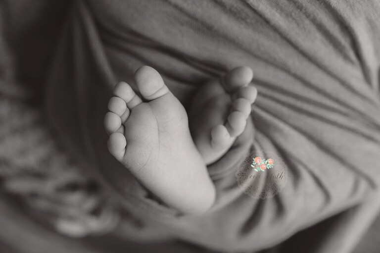 newborn photographer in Boca Raton