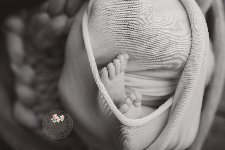 boca raton newborn photographer