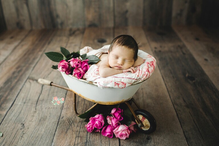 newborn photographer in Boca Raton