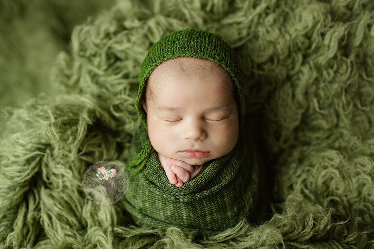 boca baby photographer