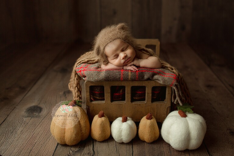 boca raton newborn photo shoot