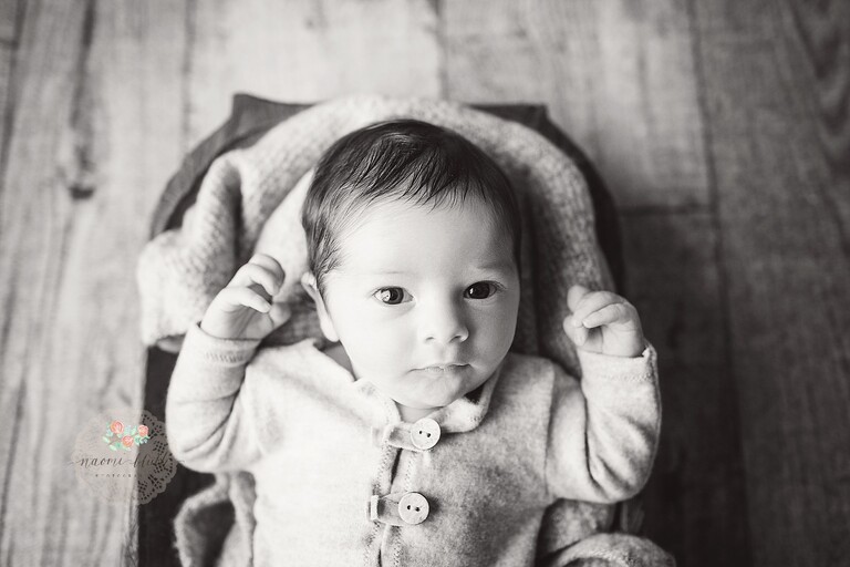 coral springs newborn photographer