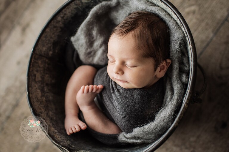 parkland newborn photography