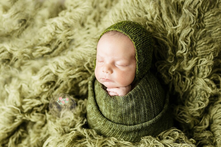 parkland newborn photographer