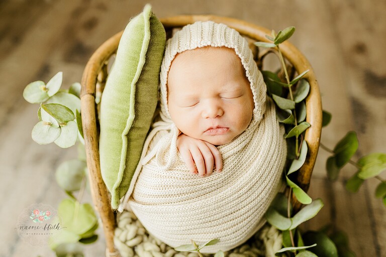 boynton beach newborn photography