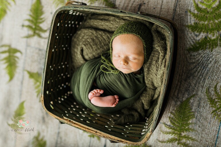Deerfield Beach newborn photographer