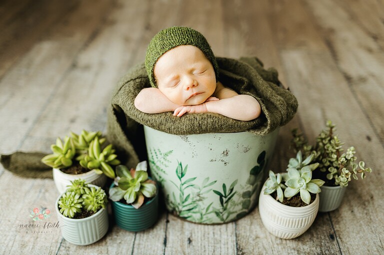 newborn photographer near me