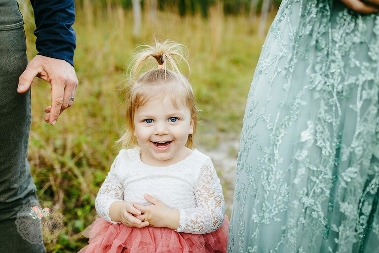 holiday family photos in wellington