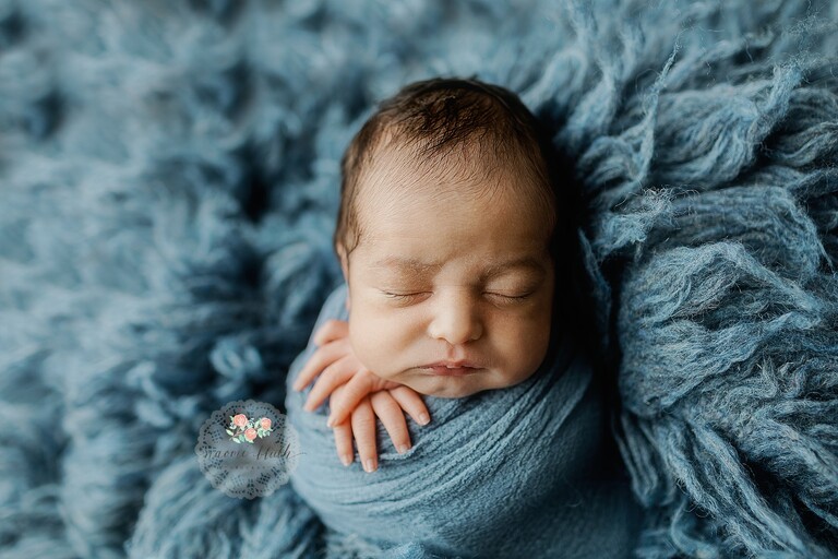 deerfield beach newborn photos