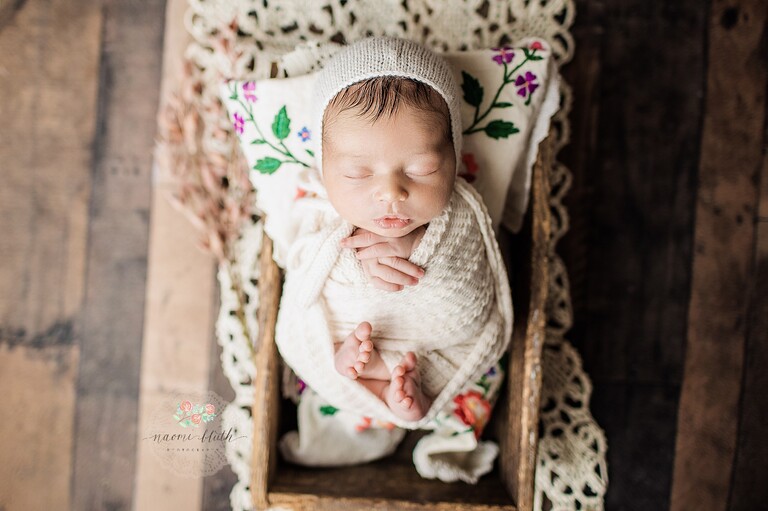 Davie newborn baby photographer