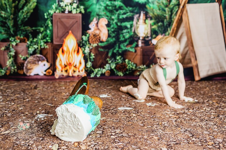 Davie cake smash photographer