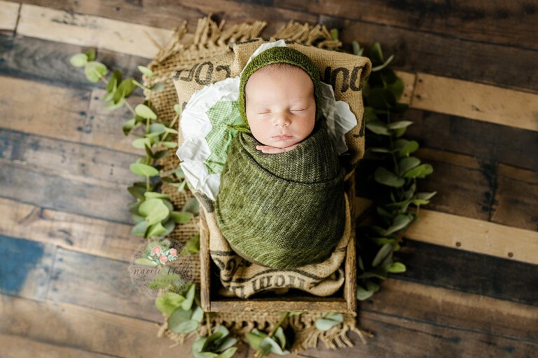Timeless Newborn Portrait from Boca Raton Photography Session